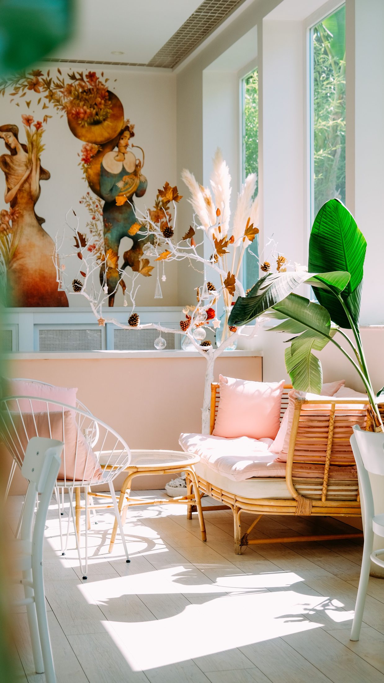 A sunlit room with plants and light furniture.