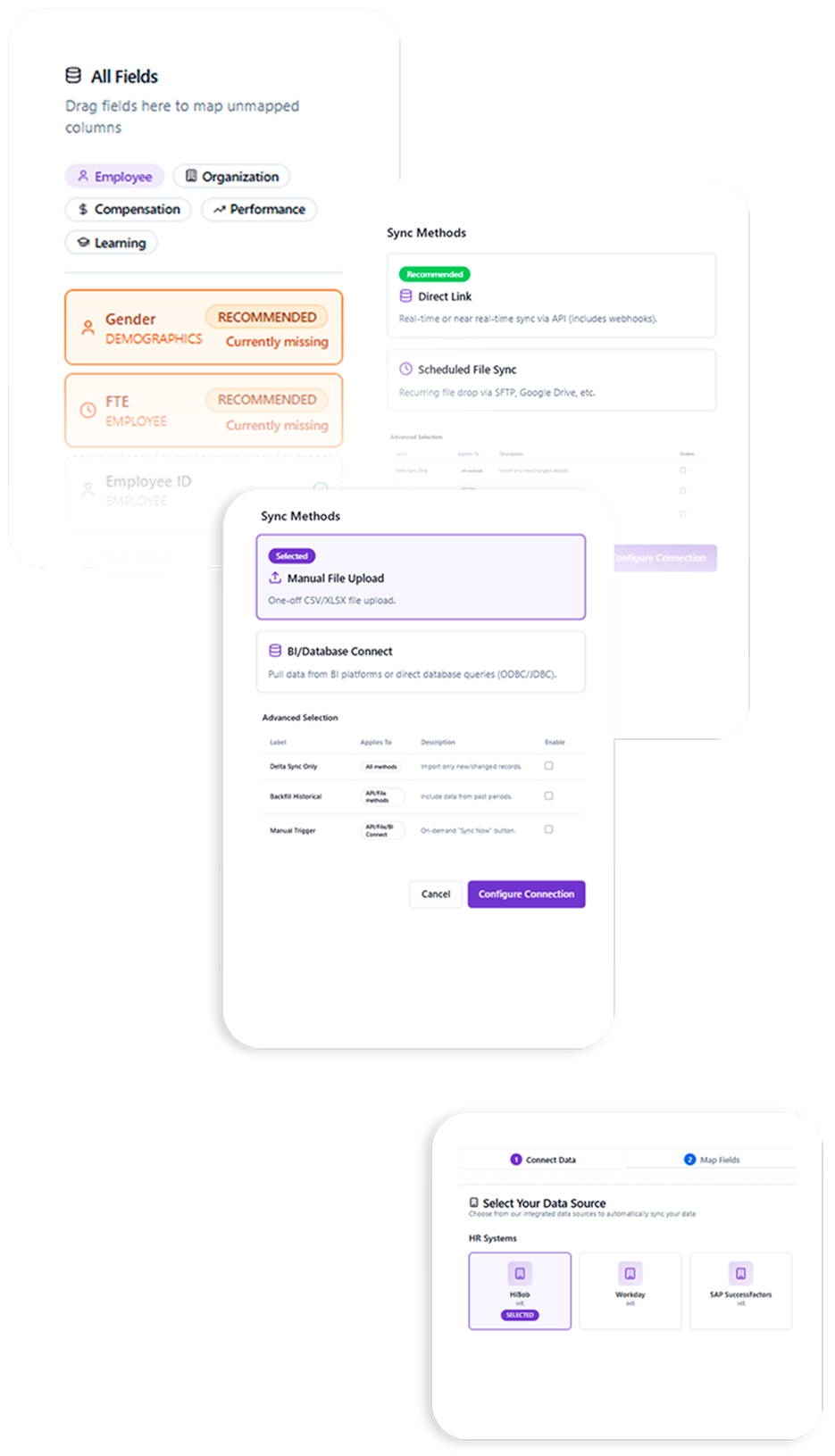 Data Management illustration